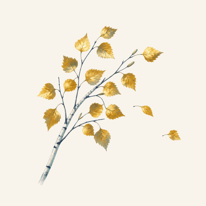 Painted birch leaves catching brass sunlight